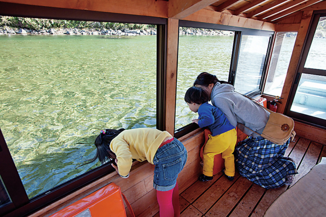 【四万十川×リバーアクティビティ】船旅で楽しむ四万十の清流「遊覧船 」
