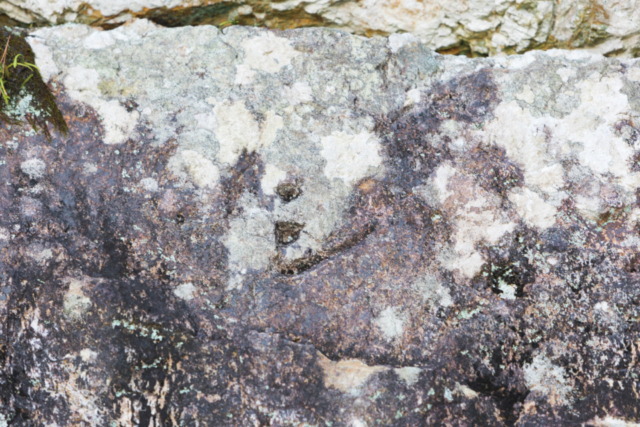 ①追手門 <重要文化財>