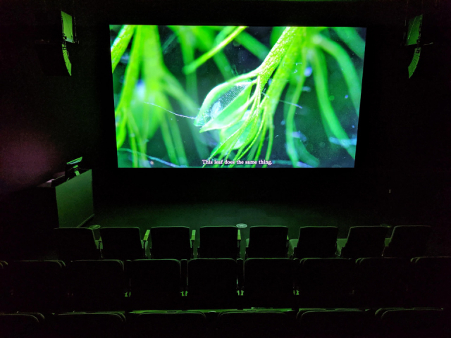 【高知県立牧野植物園をご案内】牧野富太郎記念館 展示館