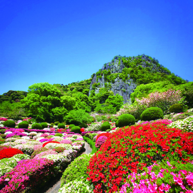 緑あふれる15万坪の庭園に建つ数寄屋づくりの和風宿「御宿 竹林亭」