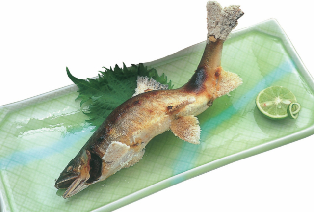 【高知で四万十川の幸グルメが美味い店】季節料理たにぐち