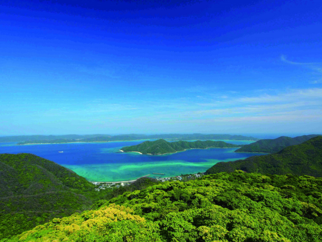 【奄美大島北部の観光情報】奄美自然観察の森