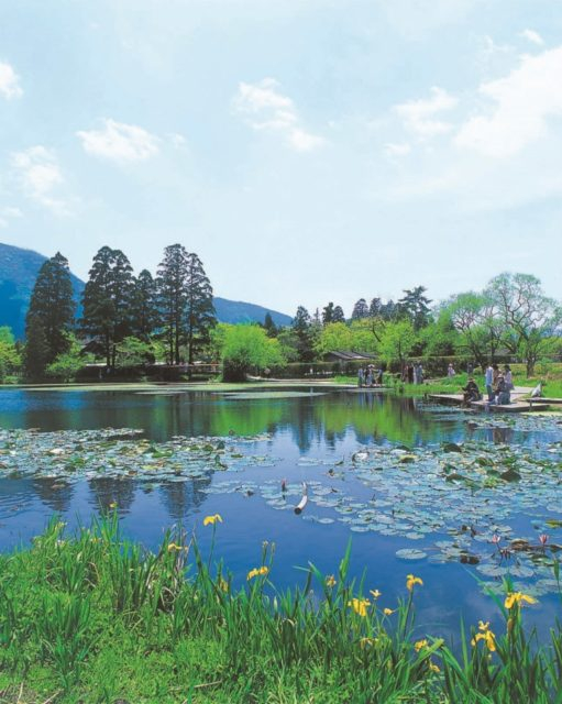 【由布院・阿蘇】夏