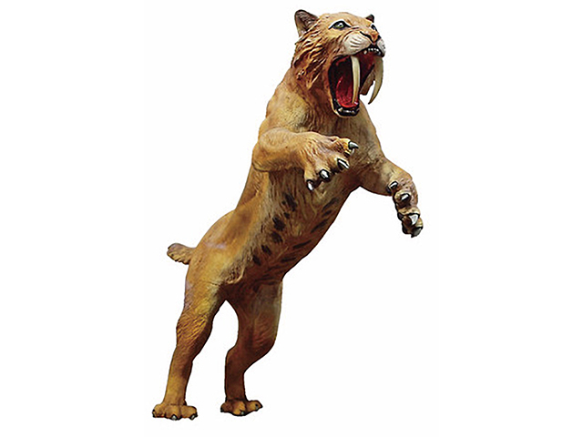 【四万十川×ドライブ】⑦ずらりと並ぶ見ごたえたっぷりのフィギュア「海洋堂ホビー館四万十」