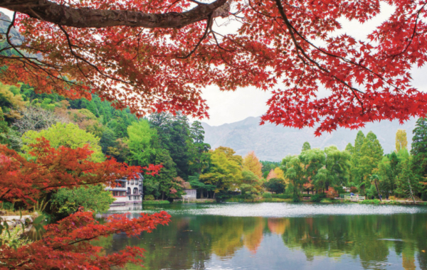 青木湖桐野キャンプ場 まっぷるトラベルガイド 青木湖桐野キャンプ場 まっぷるトラベルガイド