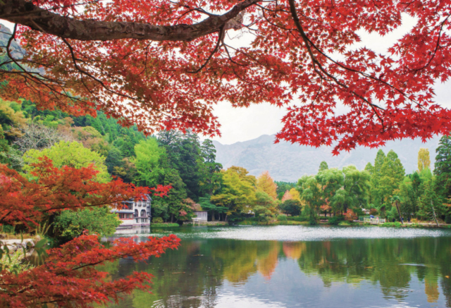 湯布院を観光するなら湯の坪街道へ!グルメスポット、雑貨、スイーツ店が目白押し!