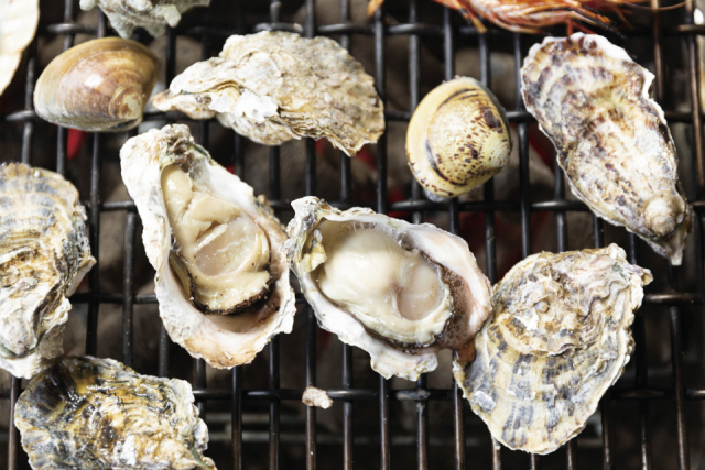 漁師直営の カキ小屋でたらふくカキ焼き「勇栄丸」