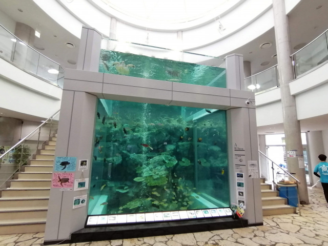 【奄美大島の観光スポット】奄美海洋展示館
