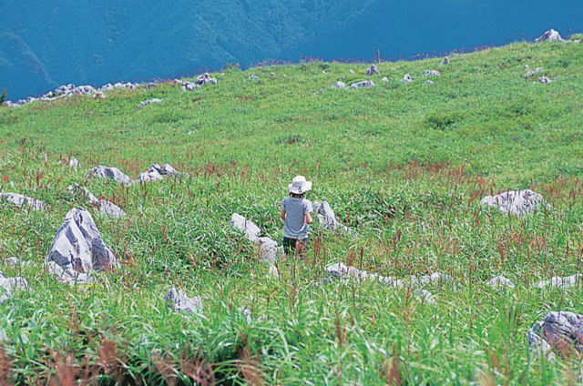天狗高原でハイキング