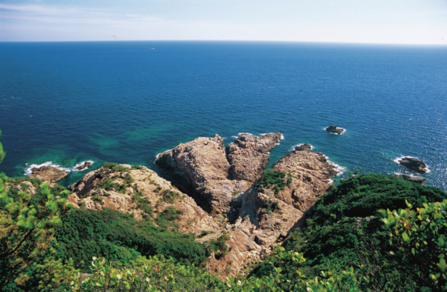 【足摺岬ドライブ立ち寄りスポット】臼碆