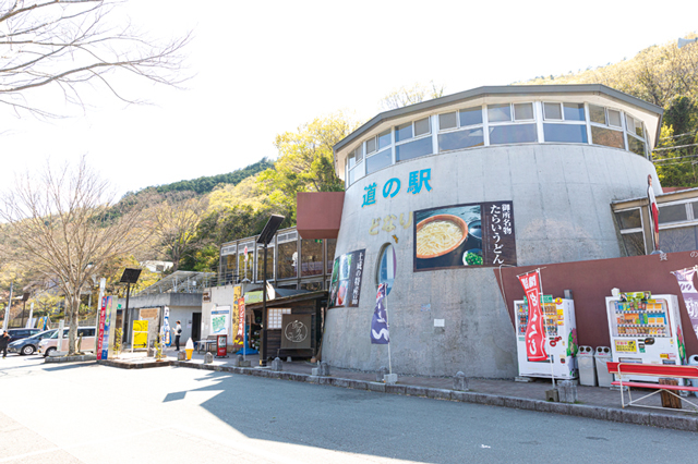 【徳島の道の駅】道の駅 どなり