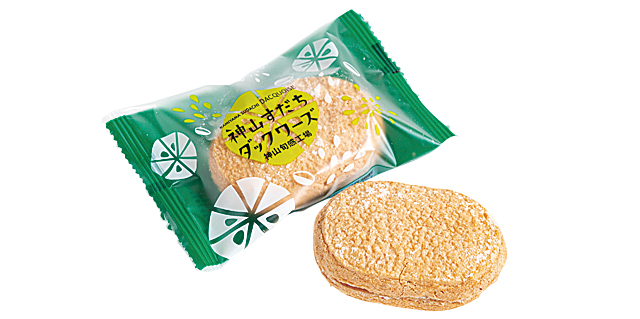 【徳島の道の駅】道の駅 温泉の里神山