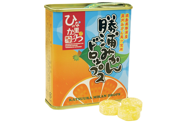 【徳島の道の駅】道の駅 ひなの里かつうら