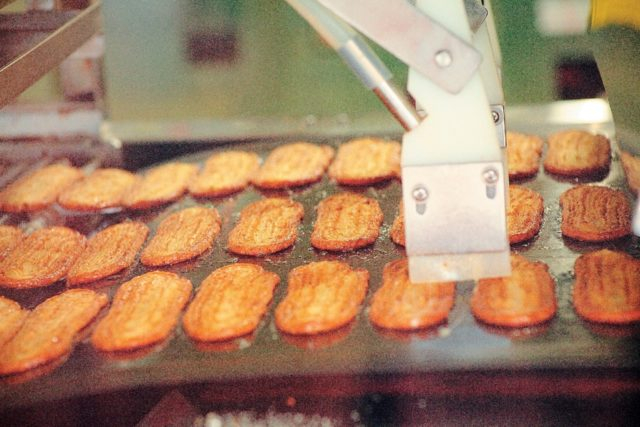 【浜松無料観光×うなぎパイファクトリー】ファクトリーツアーに参加しよう