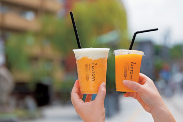 多彩な柑橘アイテムを展開する専門店「10FACTORY 道後店」