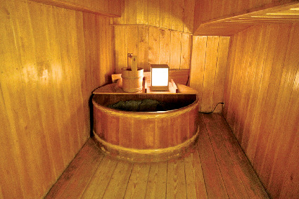 【浜松城の天守閣】水の確保は勝利に不可欠