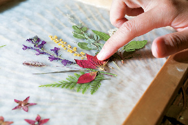 森町体験の里 アクティ森