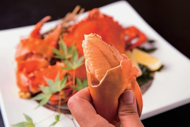 【浜名湖周辺でどうまん蟹を食べるならココ】山本亭