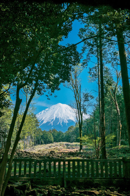 山宮浅間神社