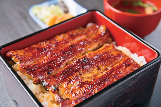 【浜名湖でウナギを食べるならココ 】うなぎ藤田 浜松駅前店