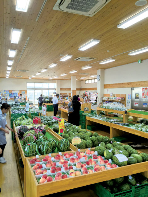 【静岡・御前崎×ショッピング】農園と加工所を備えた道の駅「道の駅 風のマルシェ御前崎」