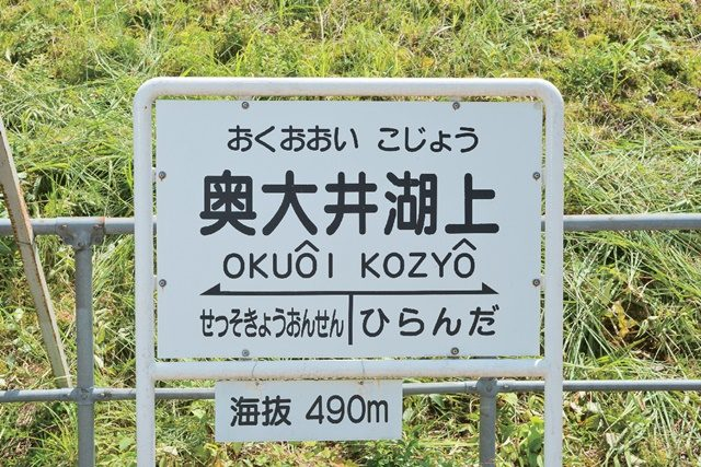 遊歩道をお散歩