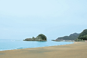 【阿南海岸ドライブモデルコース】日和佐うみがめ博物館カレッタ