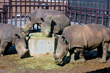 4、一日中遊べるテーマパークがたくさんある!!