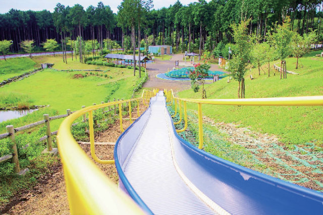 遊びながら富士山を学べる巨大公園「富士山樹空の森」