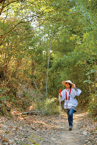 【お遍路×第3番札所】弘法大師が掘った黄金の井戸「金泉寺」