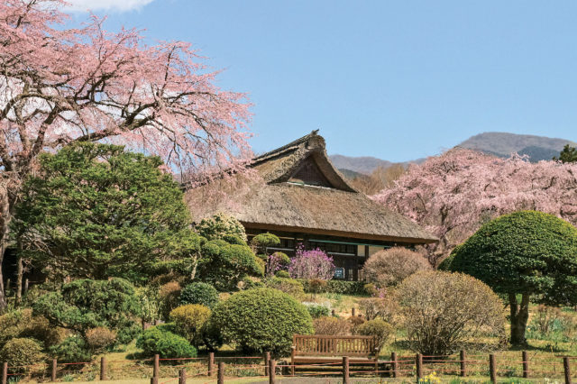 皇族の別邸と庭園を見学「秩父宮記念公園」