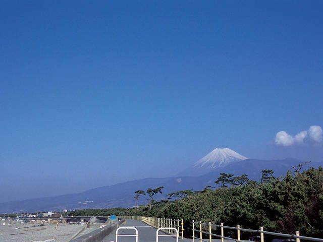 【沼津観光】千本浜公園