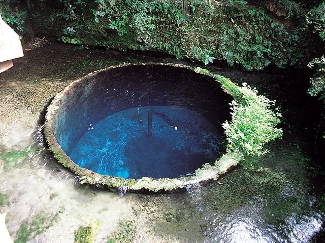 【三島観光】柿田川公園