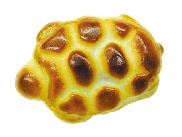 【静岡・御前崎×ショッピング】縁起の良い亀の形のまんじゅう「かめや本店」