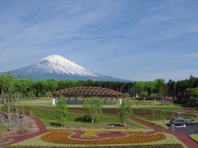 遊びながら富士山を学べる巨大公園「富士山樹空の森」