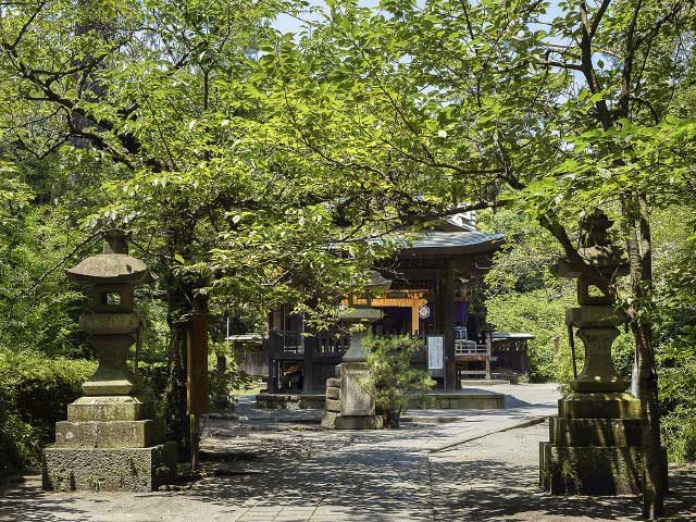 【三保松原×観光】神の道