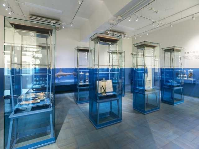 ユニークな展示法が話題