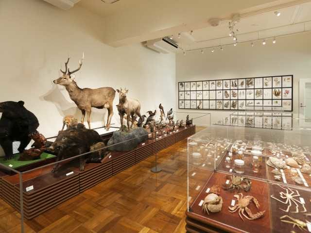 ユニークな展示法が話題