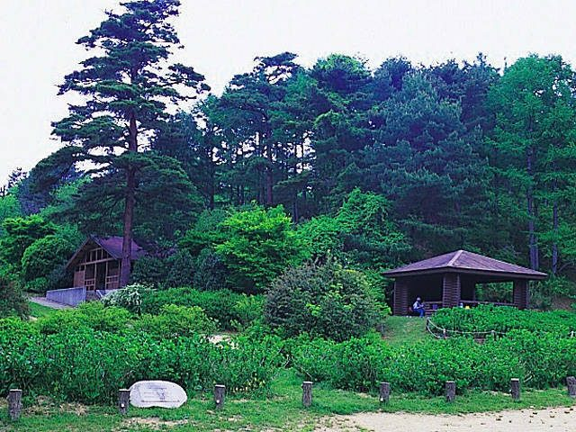 神戸市立森林植物園