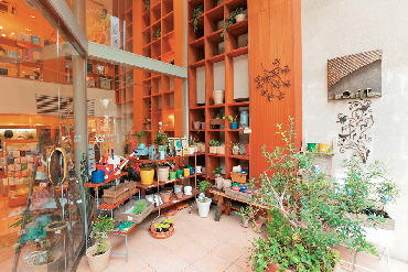 静岡タウンの土産スポット 三保原屋LOFT店