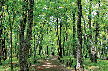 【栃木×道の駅】遊び・グルメ・温泉・宿泊なんでもおまかせ!「道の駅 うつのみや ろまんちっく村」