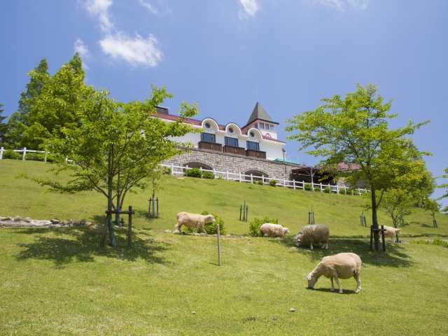 【六甲山観光】神戸市立六甲山牧場