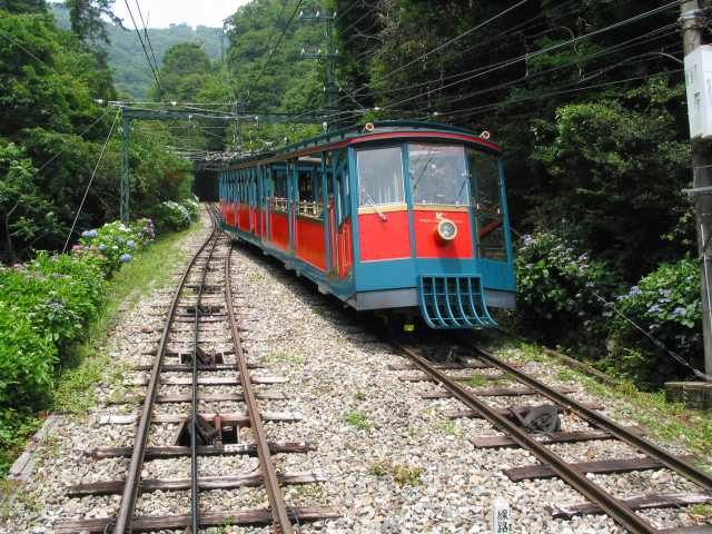 【六甲山観光】神戸市立六甲山牧場