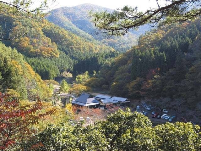 兵庫県立ささやまの森公園