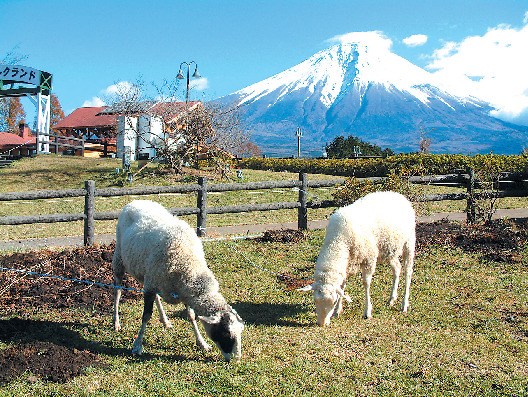 富士ミルクランド