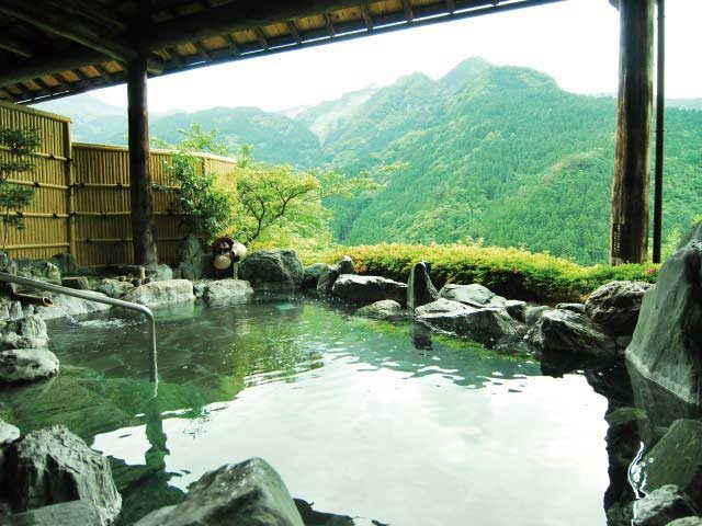 新祖谷温泉ホテルかずら橋