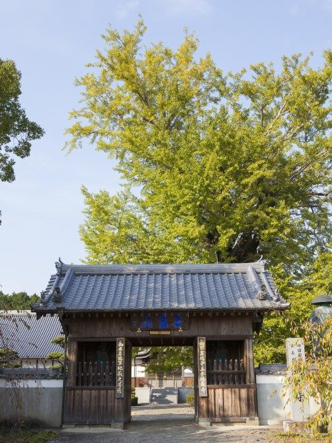 【お遍路×第5番札所】御本尊は一寸八分の胎内仏「地蔵寺」