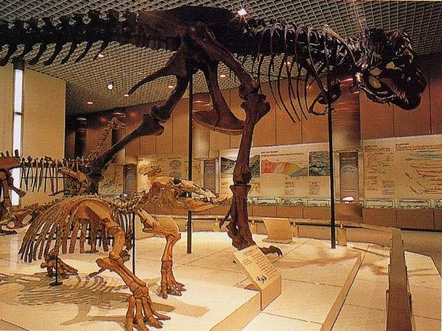 徳島県文化の森総合公園