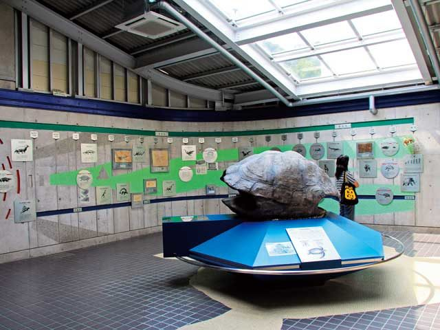 【阿南海岸ドライブモデルコース】日和佐うみがめ博物館カレッタ