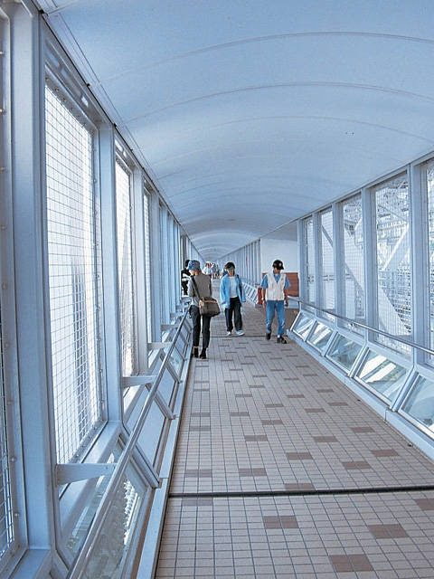 【鳴門公園の絶景ビュースポット×海上遊歩道】渦の道